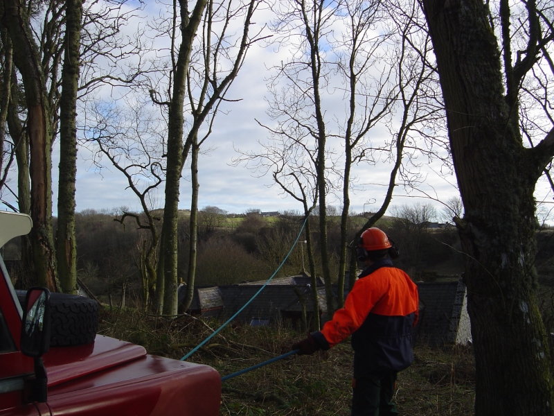 15th March 2008 008